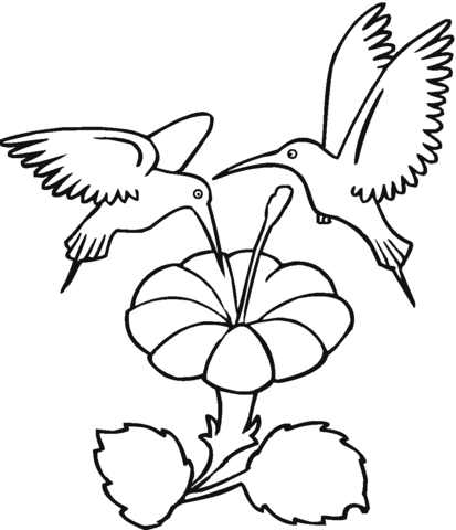 Two Hummingbirds Drinks Flower Nectar Coloring Page